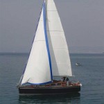 2005_steiner1